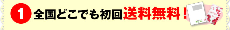全国どこでも送料無料!